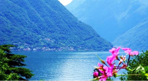 Isola Bella — 4-Star Luxury Hotel in Ossuccio, Italy
