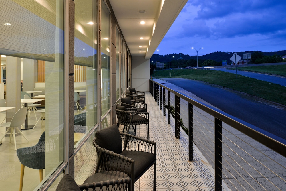 TownePlace Suites by Marriott Asheville Downtown - photo 33