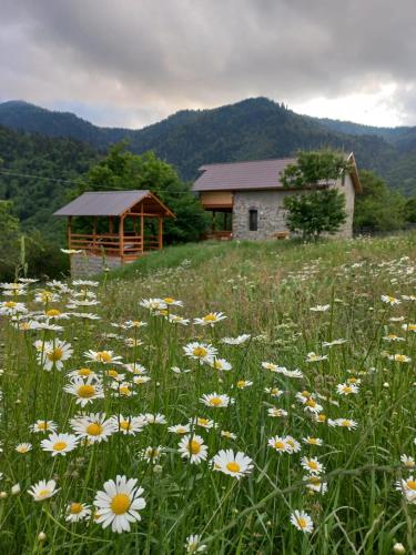 Sakartvelo Soul in Borjomi, Georgia