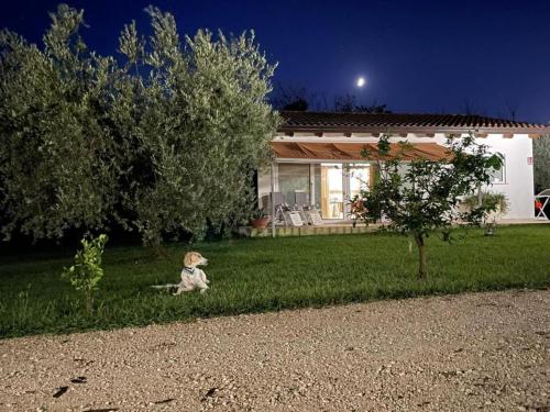 Villetta Bianca Pisticci Matera — hotel in Pisticci