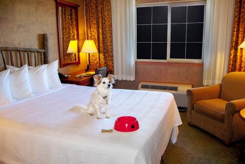 Ko Kwel Casino Resort - photo 22