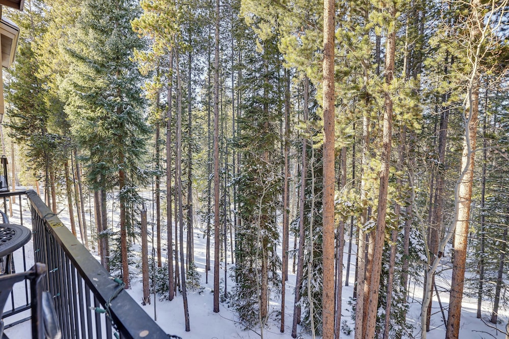 Colorado Condo 2 Mi to Winter Park Resort - photo 11