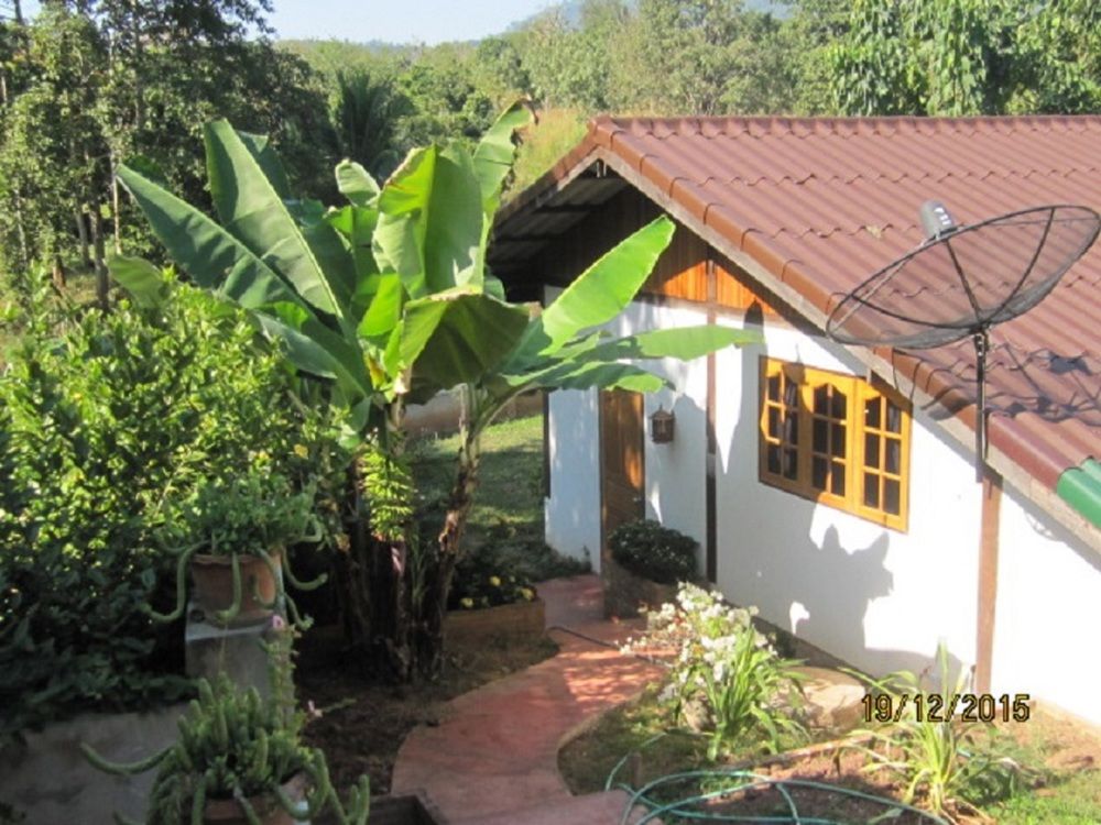 Banpaja Resort — Dan Sai — photo 2