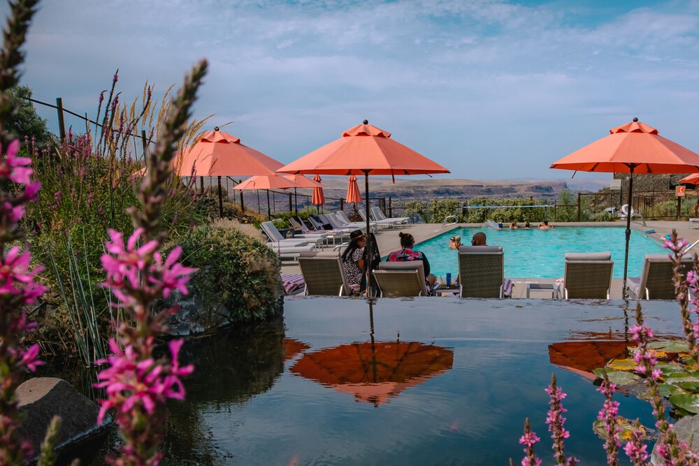Sagecliffe Resort & Spa - photo 24