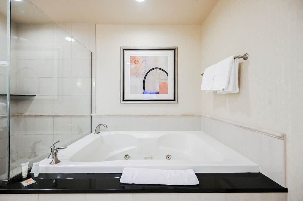 StripViewSuites at Signature - photo 32