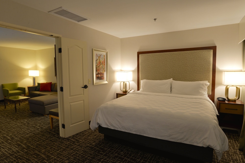 Holiday Inn Hotel & Suites Minneapolis Lakeville by IHG - photo 24