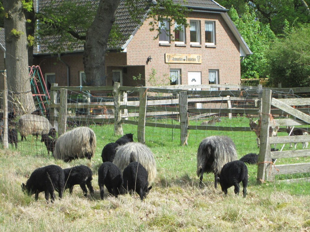 Der Schnuckenhof in Schneverdingen, Germany