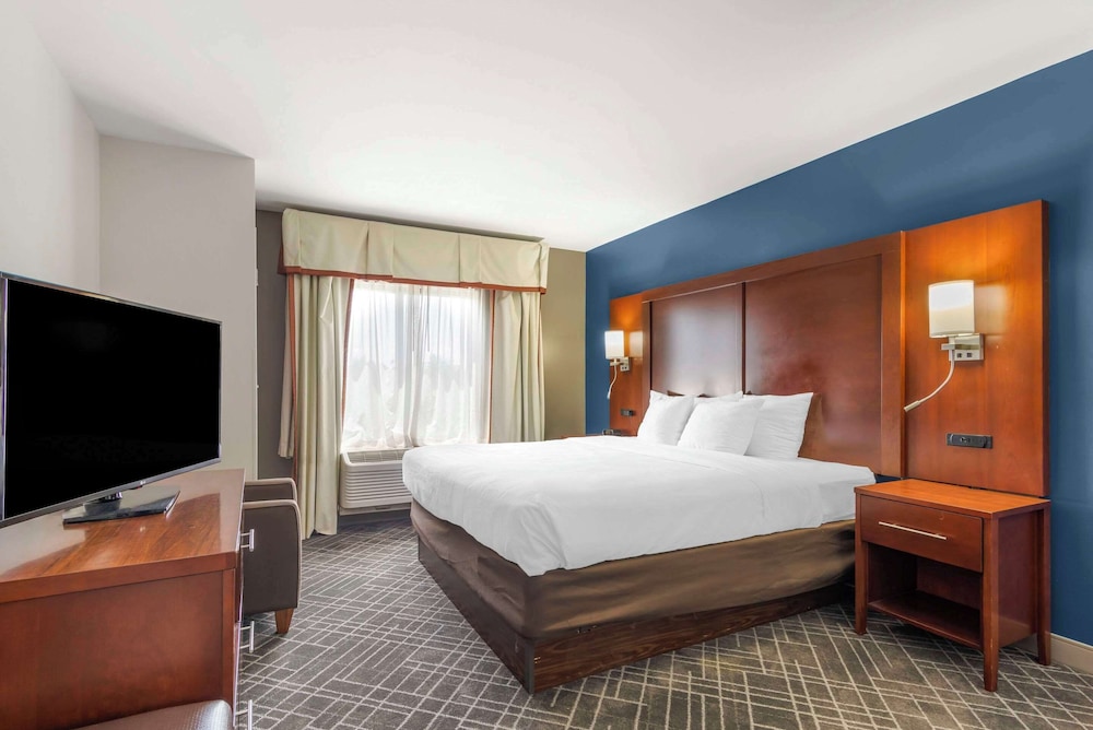 Comfort Suites Atlanta Airport - photo 12