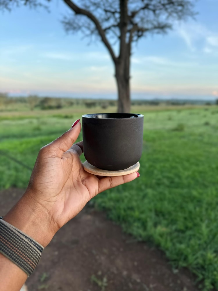 Anantya Serengeti — Arusha — photo 5