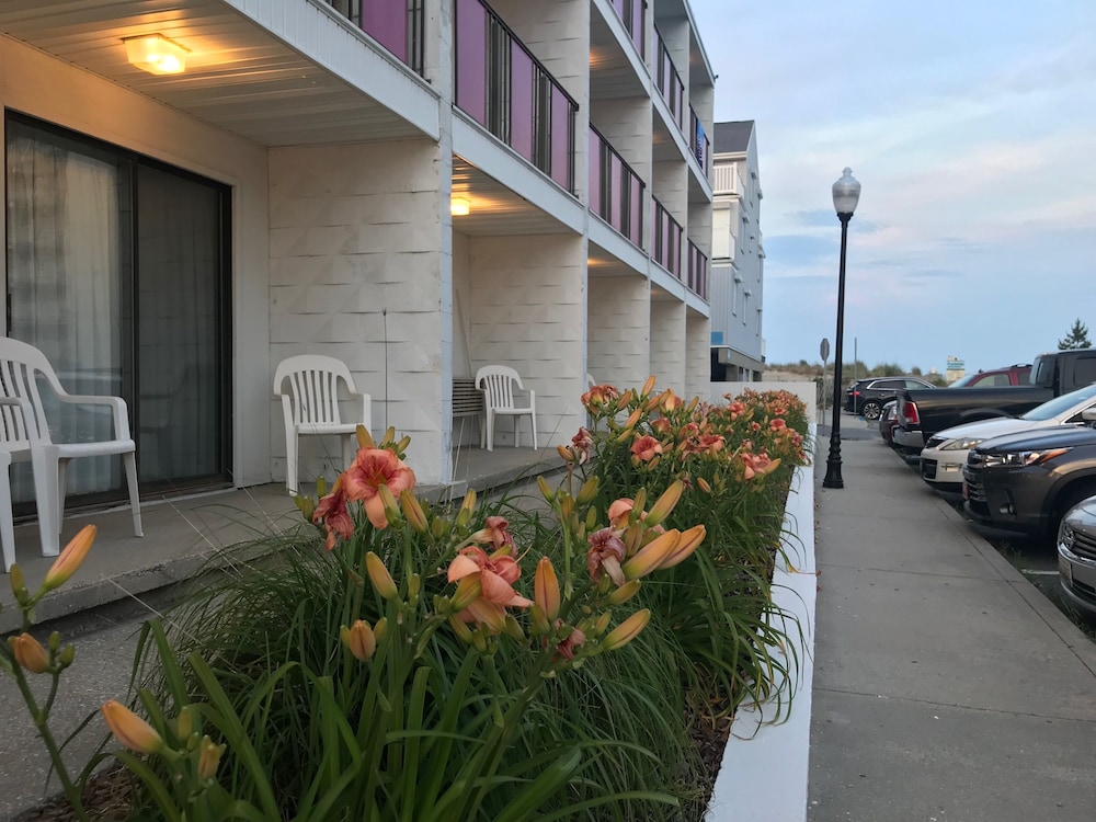 Simple Life Motel - photo 33