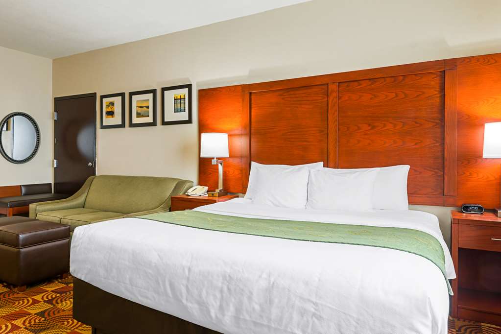 Comfort Suites Lake Charles - photo 21