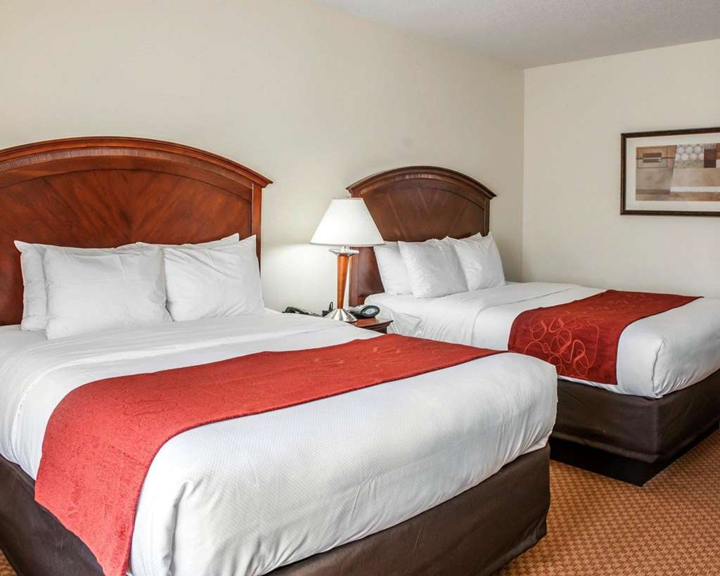 Comfort Suites near Indianapolis Airport - photo 15