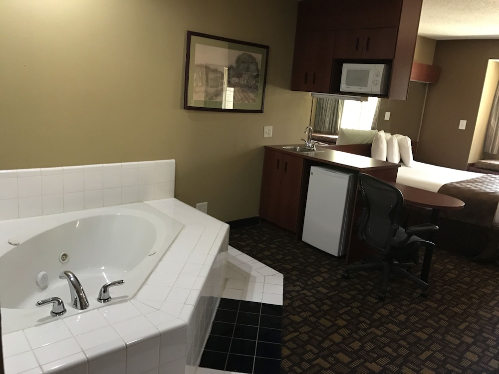 Microtel Inn & Suites by Wyndham Lithonia Stone Mountain - photo 26