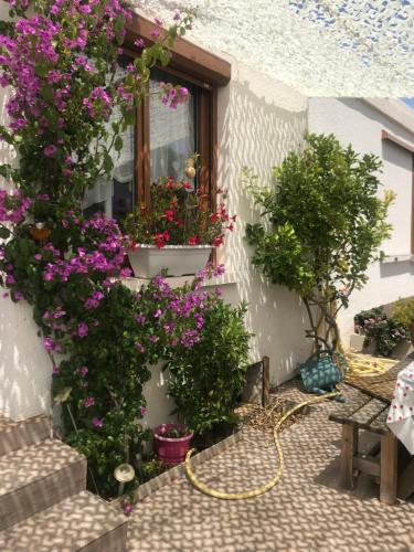 Cœur de sousto - last minute hotel in Unknown City