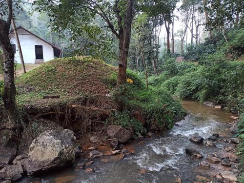 Creek Side in Madikeri, India