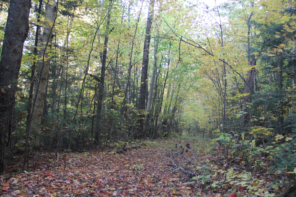 Mount Jefferson View - photo 58