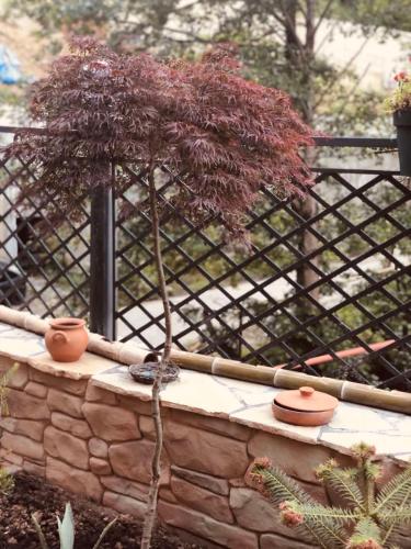 Chalet Kvariati