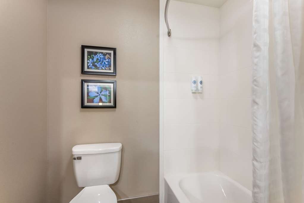 Comfort Inn & Suites Conway - photo 21