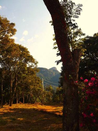 Canto das Árvores - last minute hotel in Unknown City