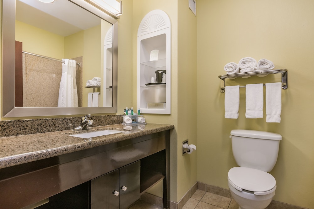 Holiday Inn Express Hotel & Suites Dumas by IHG - photo 29