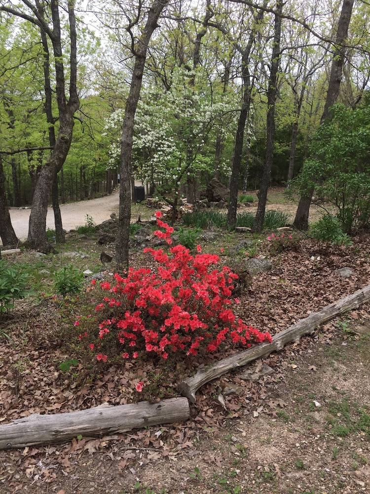 Cherokee mountain log cabin resort - photo 66