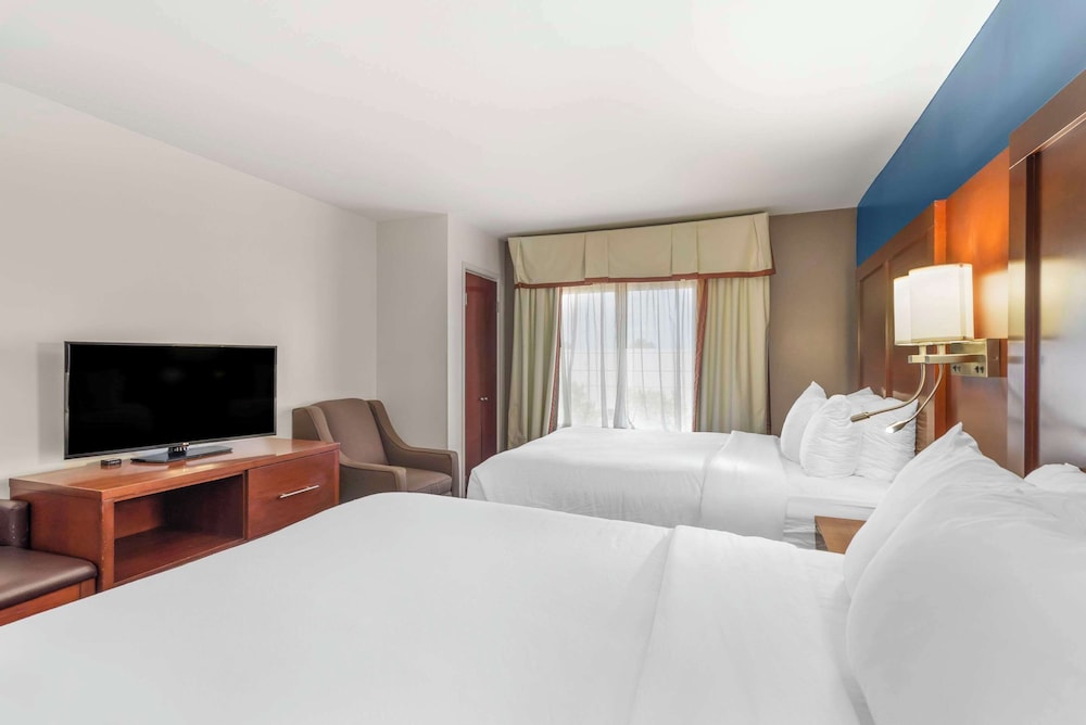 Comfort Suites Atlanta Airport - photo 8