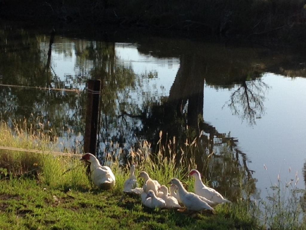Riverside Farm Retreat — 5-Star Luxury Hotel in Narrabri, Australia