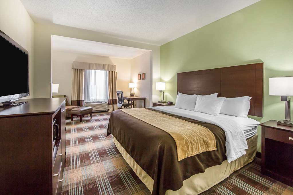 Comfort Inn Lexington South - photo 8