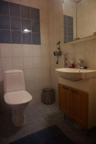 Wanha Pappila Cottages — Simo — photo 5