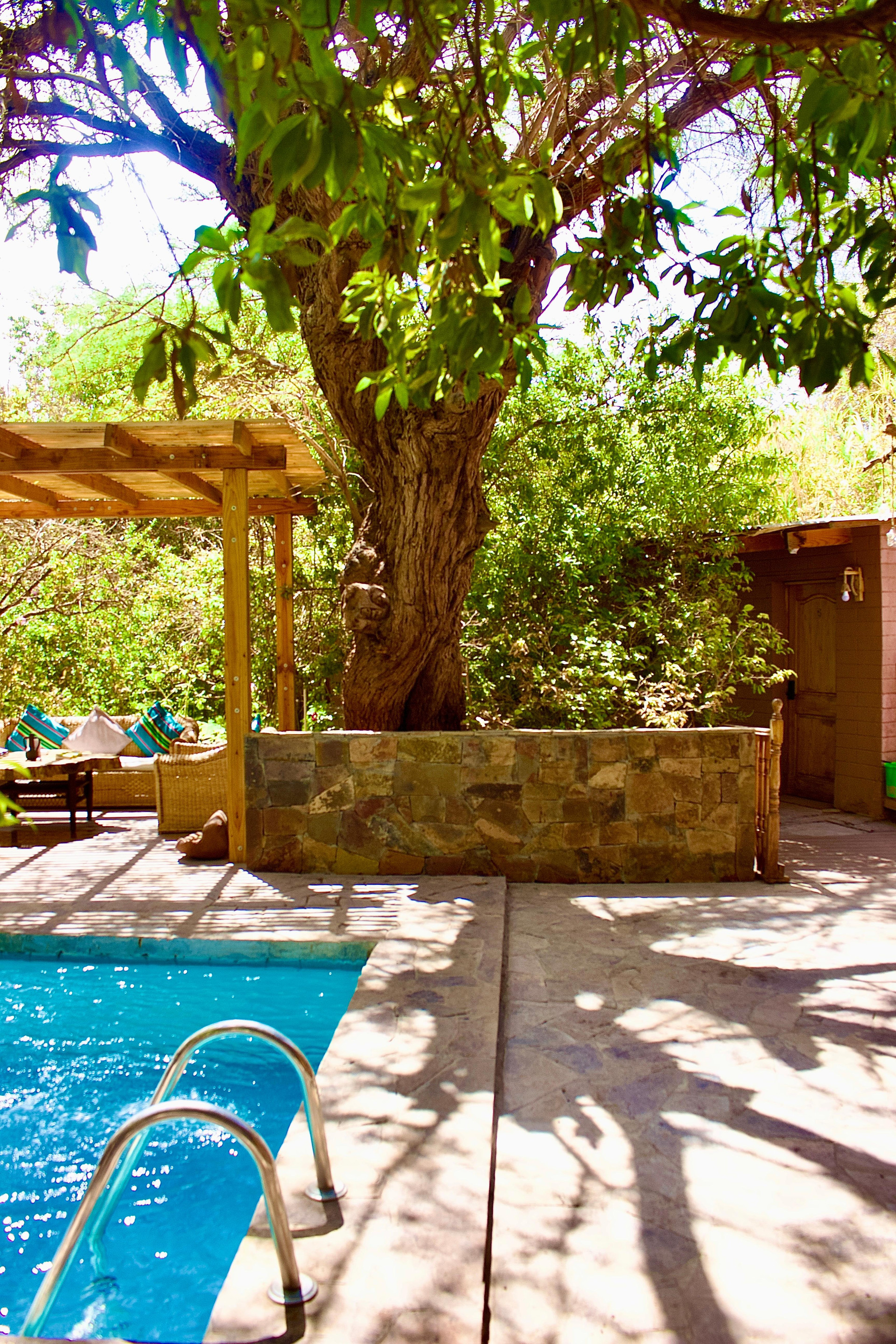 Hotel Jireh — San Pedro De Atacama — photo 4