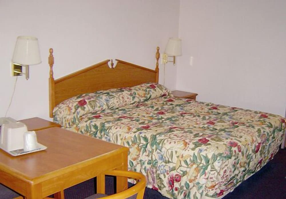The Flamingo Motel - photo 7