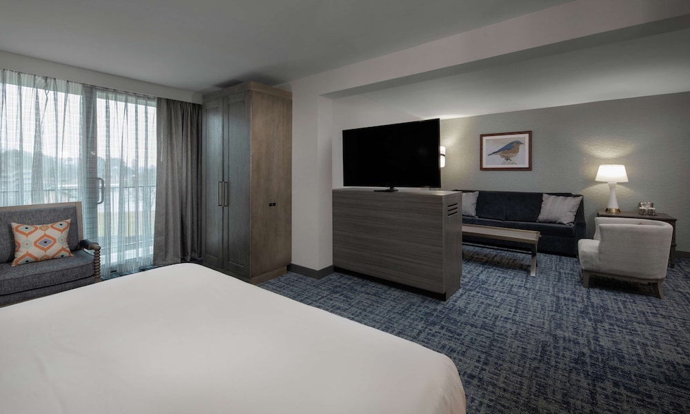DoubleTree by Hilton Hot Springs - photo 13