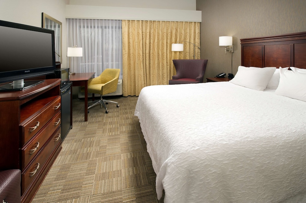 Hampton Inn Rochester Greece - photo 9