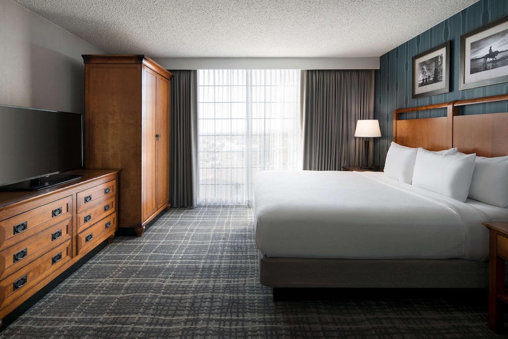 Embassy Suites by Hilton Austin Central - photo 13