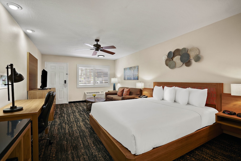 La Fuente Inn & Suites - photo 7