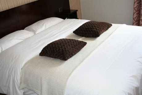 Altess Hotel — hotel in Seynod