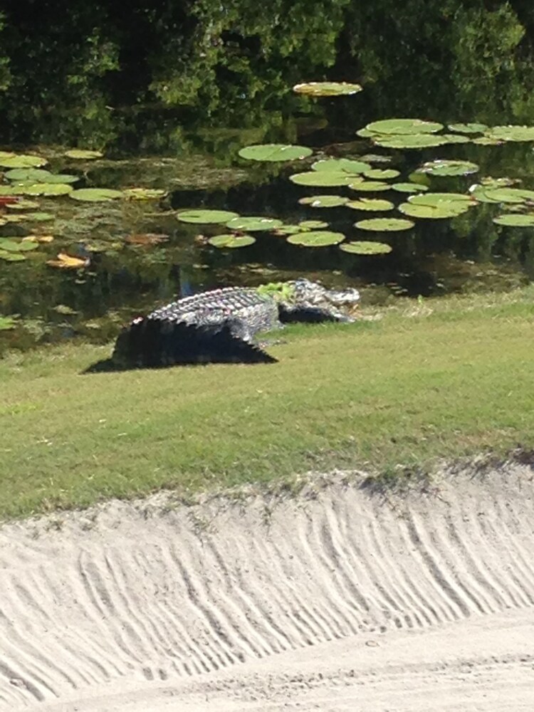 St James Bay Golf & Pickleball Resort - photo 20