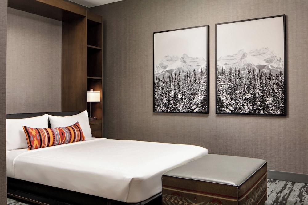 Gaylord Rockies Resort & Convention Center - photo 9