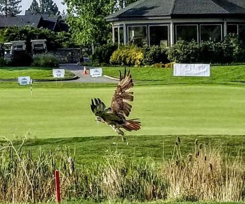 Resort at Eagle Point - photo 58