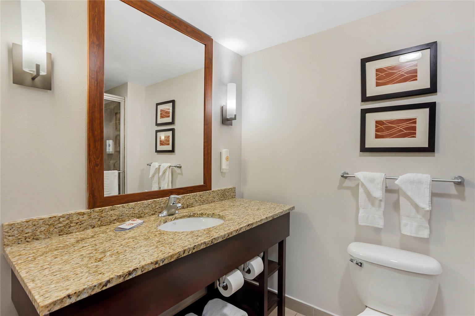 Comfort Inn & Suites Sayre - photo 17