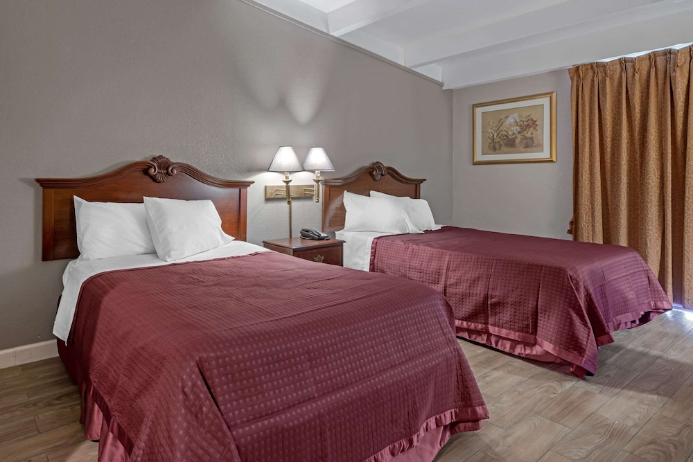 Rodeway Inn Clermont - photo 17