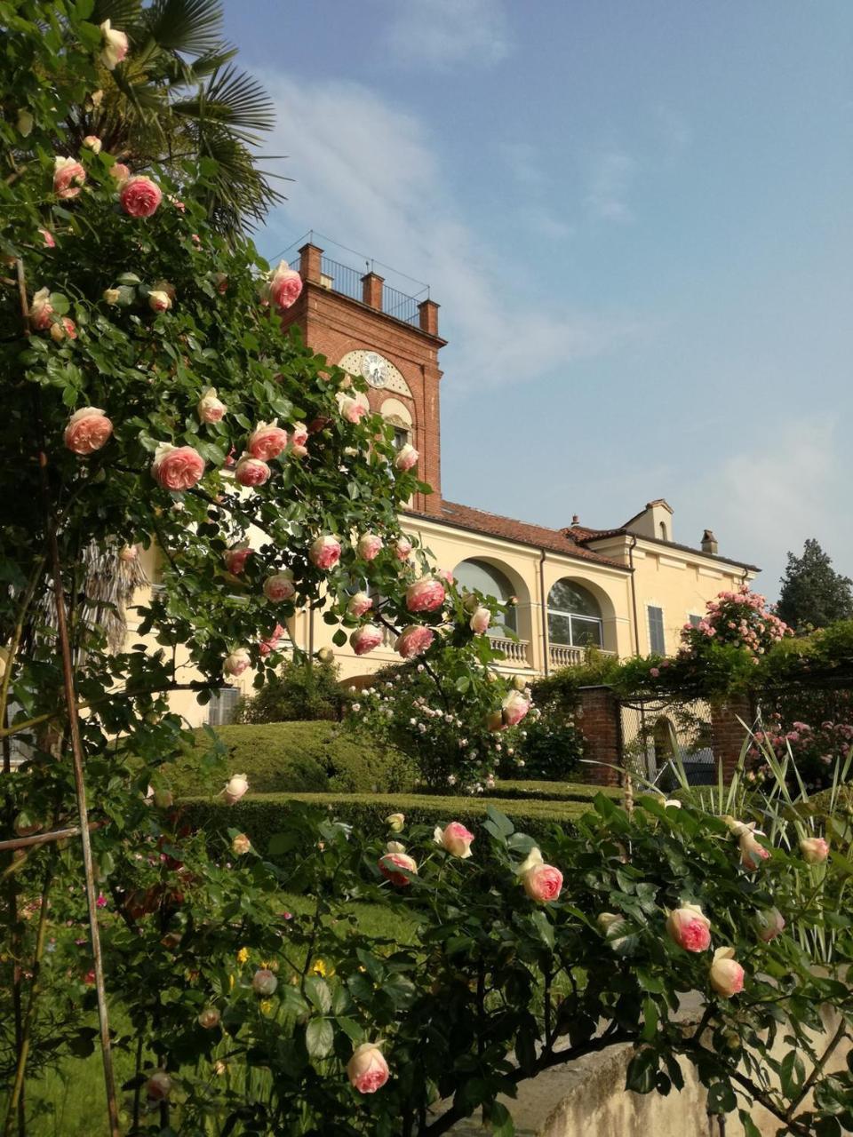 San Giovannina '800 — hotel in Casale Monferrato