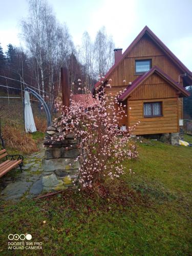 Domek na Zabawie in Milowka, Poland