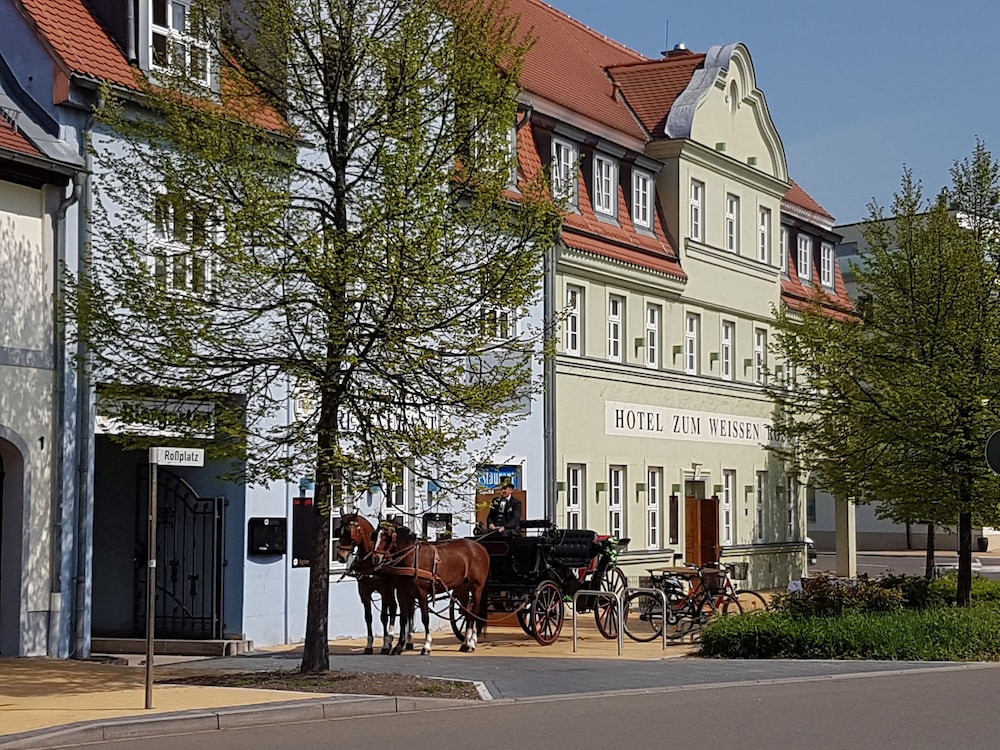 Hotel zum Weissen Ross — hotel in Delitzsch