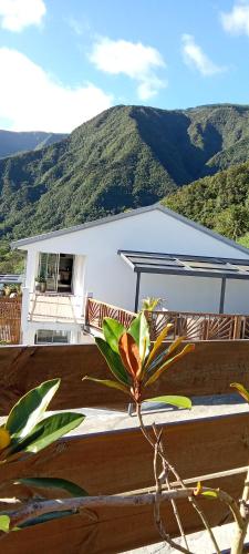 Les panoramiks des Makes in Saint-Louis, Réunion