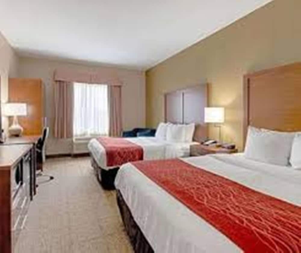 Comfort Inn and Suites Fredericksburg - photo 15