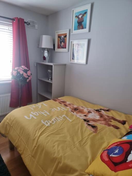 The Middle of Everywhere 2 Bedrooms Option of Making a Third One Large 2 Double Beds One Medium with One Double Bed Option of Adding a Double Bed To the Sitting Room As Required