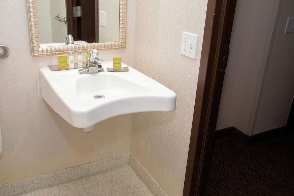 President Abraham Lincoln Springfield DoubleTree by Hilton - photo 37