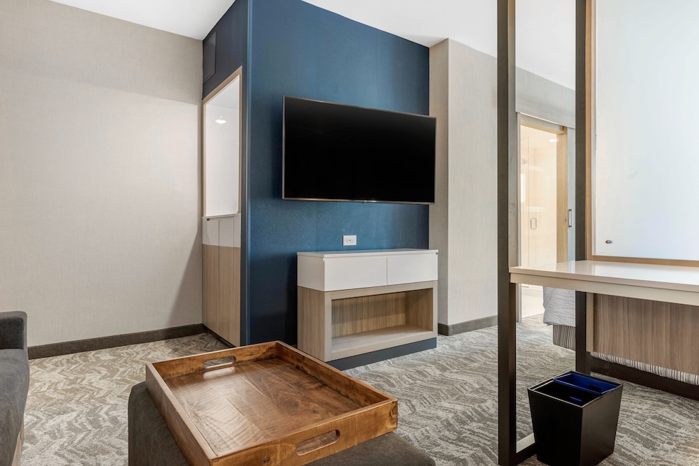 SpringHill Suites by Marriott Charlotte Southwest - photo 6