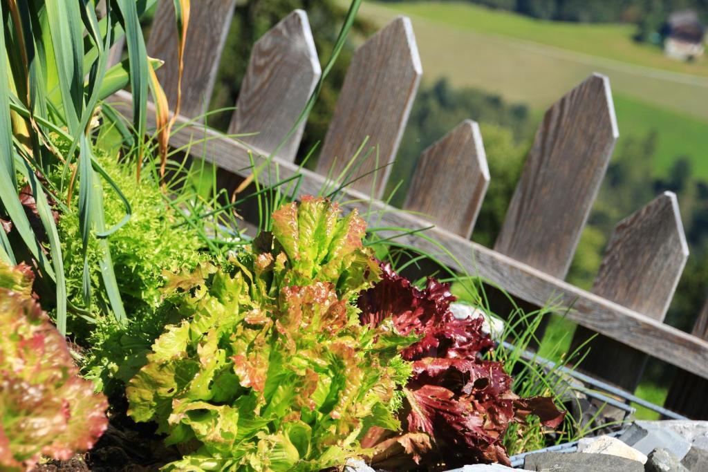 Pirchnerhof in San Lorenzo Di Sebato, Italy